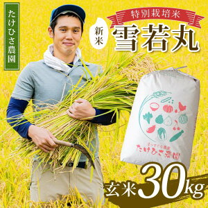 yӂ邳Ɣ[Łz yߘa7NY V s\z ʍ͔|  () 30kg sߘa7N9{`t wЂ_x R`zY   _ƒ R` zs [2367-R7]