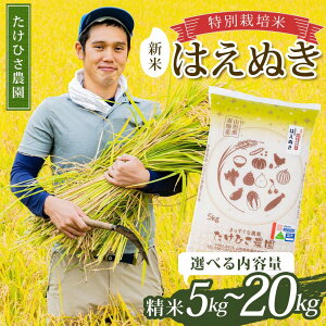 yӂ邳Ɣ[Łz sIׂeʁtyߘa7NY V s\z ʍ͔| ͂ʂ () 5kg/10kg (5kg×2)/20kg (5kg×4) sߘa7N9{`t wЂ_x R`zY   