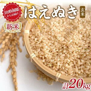 yӂ邳Ɣ[Łzyߘa7NY V s\z ͂ʂ () 20kg (10kg×2) sߘa7N9{`t w}^j_x R`zY   _ƒ R` zs [2391-R7]