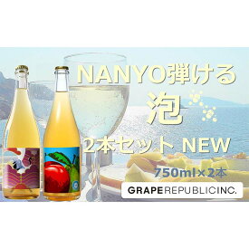 【ふるさと納税】 NEW NANYO弾ける泡セット 750ml × 2本 『(株)グレープリパブリック』 シードル 微発砲ワイン 山形県 南陽市 [2337]