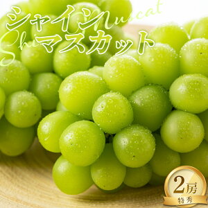 yӂ邳Ɣ[Łz yߘa8NYs\z VC}XJbg 1kgȏ (2[ G) sߘa8N9{`t wNOWAt[cx }XJbg Ԃǂ ʕ t[c fU[g R`zY R