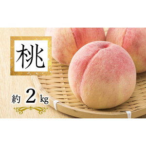 yӂ邳Ɣ[Łz yߘa8NYs\z uE܂ǂE쒆Eǂ낫v 2kg (6ʈȏ G) sߘa8N8{`t wzʎsx   ʕ t[c fU[g 