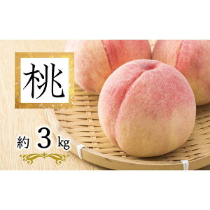 yӂ邳Ɣ[Łz yߘa8NYs\z uE܂ǂE쒆Eǂ낫v 3kg (9ʈȏ G) sߘa8N8{`t wzʎsx   ʕ t[c fU[g 