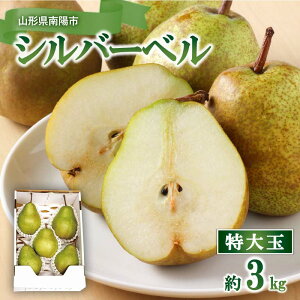 �y�ӂ邳�Ɣ[�Łz �y�ߘa7�N�Y�z ����� �V���o�[�x�� ��3kg (4�`5�� ���G) �w�c���_���x ���m�� �m�Ȃ� �ʕ� �t���[�c �R�`�� ��z�s [2626]