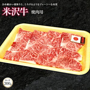 yӂ邳Ɣ[Łz đ [X ēp 300g w()̈x R` zs [738]