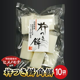 【ふるさと納税】特別栽培米ヒメノモチ 杵つき餅 角餅10袋セット 0774-2