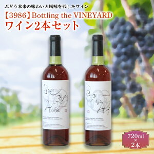 yӂ邳Ɣ[Łz y3986zBottling the VINEYARD C2{Zbg R` zs [998]