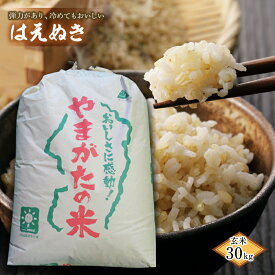 【ふるさと納税】 令和5年産 はえぬき (玄米) 30kg 『田口農園』 山形県 南陽市 [1503]