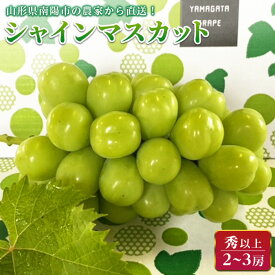 【ふるさと納税】 【令和6年産先行予約】 シャインマスカット 約1.5kg (2～3房 秀) 《令和6年9月中旬～発送》 『生産者おまかせ』 マスカット ぶどう 種なし 果物 フルーツ デザート 山形県 南陽市 [859]