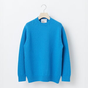 yӂ邳Ɣ[Łz s\yTHISISASWEATER.zA1 : A SWEATER IS ORDINARY BLUE u[ JV~Z[^[  m jZbNX Y fB[X uh R` RӒ  yt-soxxa E