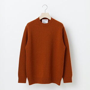 yӂ邳Ɣ[Łz s\yTHISISASWEATER.zA1 : A SWEATER IS ORDINARY BROWN uE JV~Z[^[  m jZbNX Y fB[X uh R` RӒ  yt-soxxb 