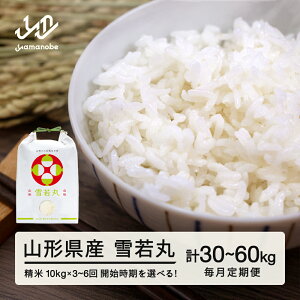 �y�ӂ邳�Ɣ[�Łz�V�� �� ���� ��������� 10kg �񐔑I�ׂ� ���ė� �a7�N�Y �R�`���Y �������� ������E�����ւ̔z���s�� on-ywxxa10_tm