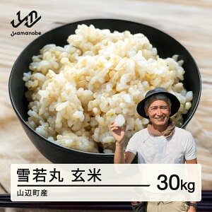yӂ邳Ɣ[Łzss\tV    30kg 2025Y ߘa7NY RӒY 2025N11{珇   uh   os-ywgxa30 Eւ̔zs
