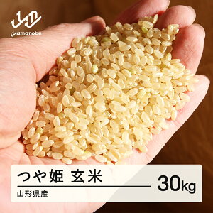 yӂ邳Ɣ[Łzss\t P  30kg 2025Y ߘa7NY R`Y 2025N10{珇   uh   wn-tsgxb30 Eւ̔zs