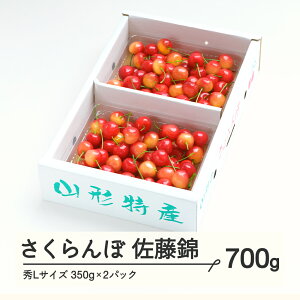 yӂ邳Ɣ[Łzss\t  GLTCY v[g Mtg ol 700gi350g×2pbNj 2026NY ߘa8NY R`Y  ns-snslb700