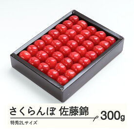【ふるさと納税】《先行予約》さくらんぼ 佐藤錦 特秀2Lサイズ プレゼント ギフト 化粧箱鏡詰め 300g 2026年産 令和8年産 山形県産 送料無料 ns-snt2x300