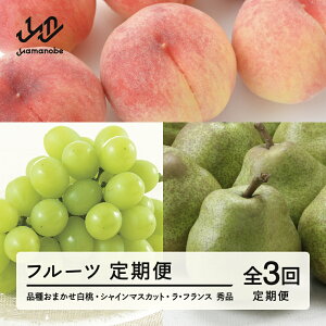 �y�ӂ邳�Ɣ[�Łz �y��s�\��z�y����ցz�t���[�c����� �S3�� ���� �u�h�E �Ԃǂ� ���� �V���C���}�X�J�b�g ���t�����X ���E�t�����X �ߘa8�N�Y 2026�N�Y �������� tf-ft3hbl ������E������