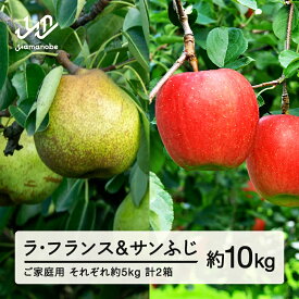 【ふるさと納税】先行予約 ラ・フランス サンふじ セット ご家庭用 約10kg 各約5kg 各1箱 計2箱 洋梨 りんご 2026年産 山形県産 ※沖縄・離島への配送不可 送料無料 tf-fslrx5