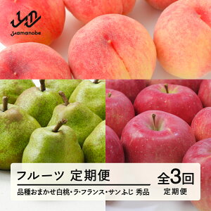 �y�ӂ邳�Ɣ[�Łz �y��s�\��z�y����ցz�t���[�c����� �S3�� ���� ���t�����X ���E�t�����X ��� �T���ӂ� �������� tf-ft3hlr ������E�����ւ̔z���s��