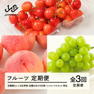 �y�ӂ邳�Ɣ[�Łz �y��s�\��z�y�t���[�c����ցz�i�킨�܂����������ځE�i�킨�܂��������E�V���C���}�X�J�b�g �G�i �S3�� �ʕ� �������� �R�`�� �R�Ӓ� �������� tf-ft3shb ������E��