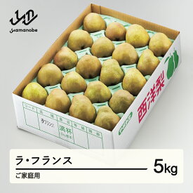 【ふるさと納税】 ラ・フランス ご家庭用 約5kg(8~20個程度) 洋梨 2026年産 山形県産 送料無料 tf-lamxx5