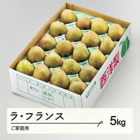 【ふるさと納税】 ラ・フランス ご家庭用 約5kg(8~20個程度) 洋梨 山形県産 送料無料 tf-lamxx5