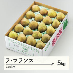yӂ邳Ɣ[Łz EtX ƒp 5kg(8~20x) m R`Y  tf-lamxx5