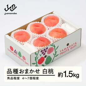 【ふるさと納税】もも 桃 品種おまかせ 白桃 秀品程度 約1.5kg(4~7個程度) 2026年産 山形県産 送料無料 tf-moyws1500 ※沖縄・離島への配送不可