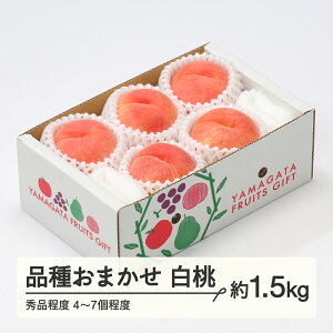 yӂ邳Ɣ[Łzys\z  i킨܂  Gix 1.5kg(4~7x) 2026NY R`Y  tf-moyws1500 Eւ̔zs