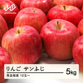 【ふるさと納税】【先行予約】 りんご サンふじ 2026年産 秀品程度 約5kg(10~20個程度) 山形県産 送料無料 tf-risfs5