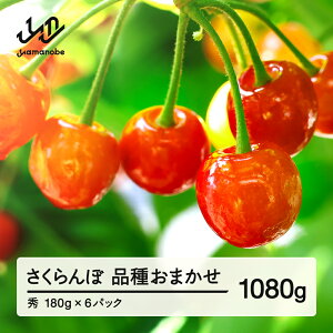 yӂ邳Ɣ[Łzys\z  i킨܂ Gi 1080g ߘa8NY 2026NY R`Y t[c ʕ  tf-saos1080
