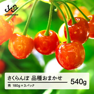 yӂ邳Ɣ[Łzys\z  i킨܂ Gi 540g ߘa8NY 2026NY R`Y t[c ʕ  tf-saos540