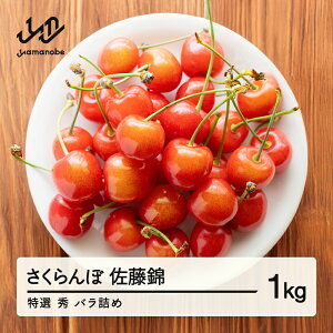 yӂ邳Ɣ[Łzys\z   I Gi ol 1kg ߘa8NY 2026NY R`Y t[c ʕ  tf-snbsl1000