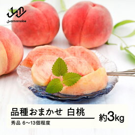 【ふるさと納税】《先行予約》もも 桃 品種おまかせ 白桃 秀品 約3kg (6〜13個程度) 配送時期選べる 山形県産 送料無料 nf-mohtx3