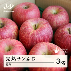 yӂ邳Ɣ[Łz ss\t2025N R`Y n Tӂ  Gi 3kg 7`12 2025N12{珇 S t[c  F20A-902