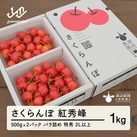 【ふるさと納税】《先行予約》2026年 山形県産 さくらんぼ 紅秀峰 1kg(500g×2) バラ詰め(パック) 特秀 2L以上 2026年6月下旬から順次発送 送料無料 F20A-528 ※沖縄・離島への配送不可