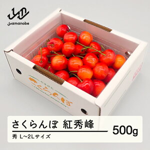 yӂ邳Ɣ[Łz s\  gG Gi L-2L 500g ol 2026NY ߘa8NY R`Y  mm-bsbax500