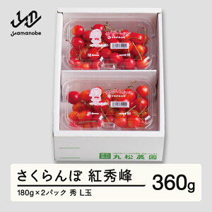 yӂ邳Ɣ[Łzys\z gG Gi L 180g×2pbN 2026NY ߘa8NY R`Y  mm-bsplx400