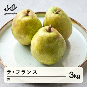 yӂ邳Ɣ[Łz EtX Gi 3kg m tX ߘa7NY 2025NY ʕ  mm-lasxx3