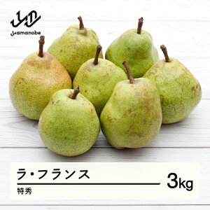 yӂ邳Ɣ[Łz EtX 3kg Gi  m tX ߘa7NY 2025NY ʕ  mm-latsx3
