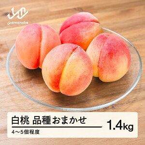 yӂ邳Ɣ[Łzys\z  i킨܂ 1.4kg ߘa8NY 2026NY R`Y ʕ  mm-mokox1400 Eւ̔zs