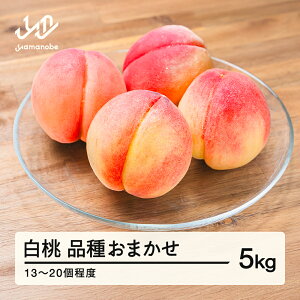 yӂ邳Ɣ[Łzys\z  i킨܂ 5kg ߘa8NY 2026NY R`Y ʕ  mm-mokox5000 Eւ̔zs