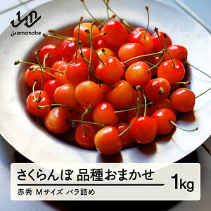 yӂ邳Ɣ[Łz s\   ԏG M 1kg ol ƒp 2026NY ߘa8NY R`Y  mm-saoam1000