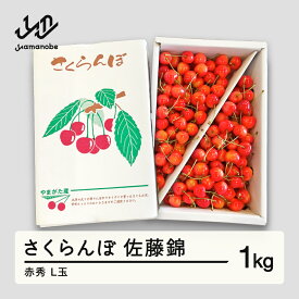 【ふるさと納税】 先行予約 さくらんぼ 佐藤錦 赤秀 L玉 1kg バラ詰 ご家庭用 2026年産 令和8年産 山形県産 送料無料 mm-snalx1000