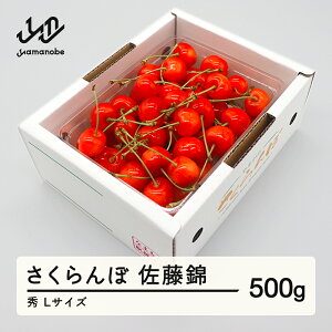 yӂ邳Ɣ[Łz s\   Gi L 500g ol 2026NY ߘa8NY R`Y  mm-snbax500