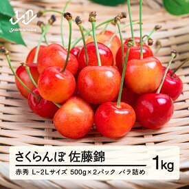 【ふるさと納税】【先行予約】さくらんぼ 佐藤錦 赤秀 ご家庭用 500g×2パック 1kg L-2L玉 バラ詰 2026年産 令和8年産 山形県産 送料無料 ※沖縄・離島への配送不可 mm-snpcx1000