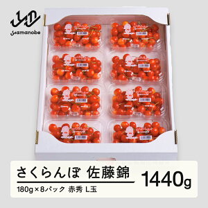 yӂ邳Ɣ[Łz s\   ԏGi L 180g×8pbN ƒp 2026NY ߘa8NY R`Y  mm-snplx1600