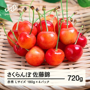 �y�ӂ邳�Ɣ[�Łz�y��s�\��z�������� ������ �ԏG�i L�� ���ƒ�p 180g×4�p�b�N 2026�N�Y �ߘa8�N�Y �R�`���Y �������� mm-snplx800