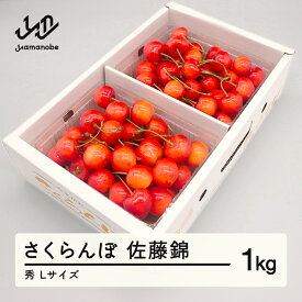 【ふるさと納税】 先行予約 さくらんぼ 佐藤錦 秀品 500g×2パック L玉 2026年産 令和8年産 山形県産 送料無料 mm-snpsx1000