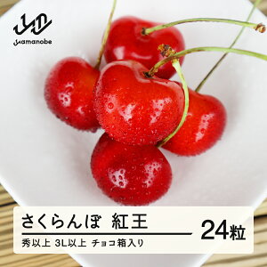 yӂ邳Ɣ[Łz s\  g 3Lȏ Gȏ 24 `R 2026NY ߘa8NY R`Y  mm-yb3lc24 Eւ̔zs